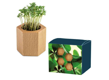 Pflanz-Holz Hexagon mit Samen - Glücksklee-Zwiebel (* Je nach Verfügbarkeit der Glücksklee-Zwiebeln)