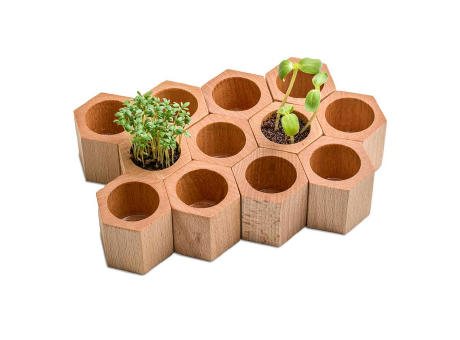 Pflanz-Holz Hexagon mit Samen - Fichte, 1 Seite gelasert