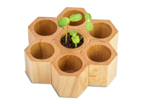 Pflanz-Holz Hexagon mit Samen - Glücksklee-Zwiebel, 1 Seite gelasert (* Je nach Verfügbarkeit der Glücksklee-Zwiebeln)