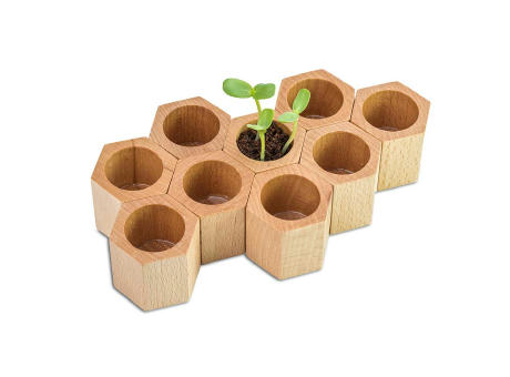 Pflanz-Holz Hexagon mit Samen - Fichte
