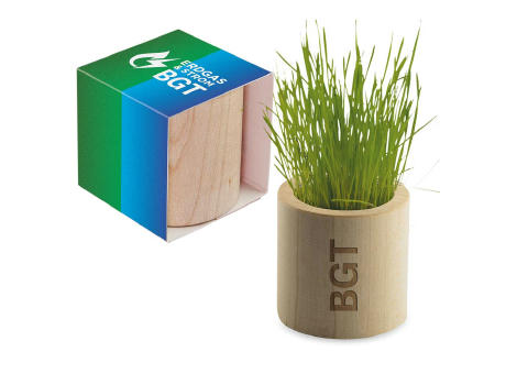 Pflanz-Holz rund mit Samen - Schnittlauch, Lasergravur