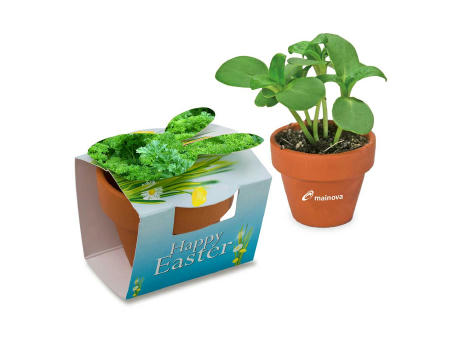 Tontöpfchen-Hase mit Samen - Petersilie inkl. Tampondruck