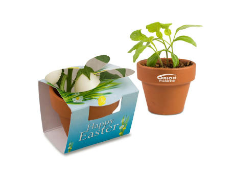 Tontöpfchen-Hase mit Samen - Eierbaumsamen inkl. Tampondruck