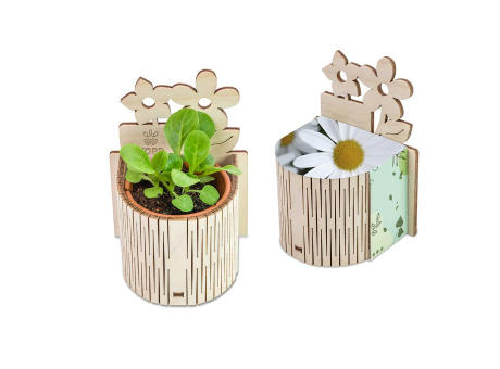 My Tiny Garden Blümchen - Margerite