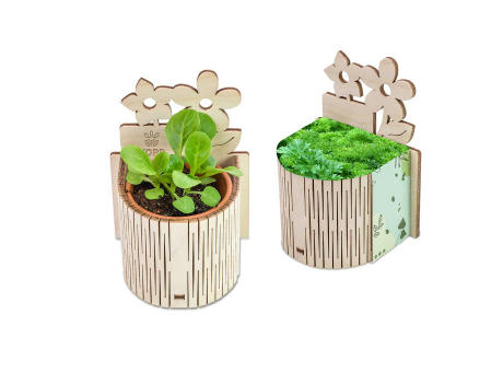 My Tiny Garden Blümchen - Petersilie