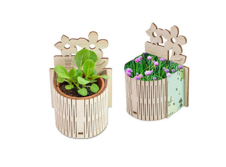 My Tiny Garden Blümchen - Schnittlauch