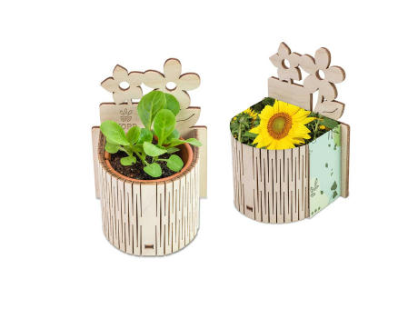 My Tiny Garden Blümchen - Sonnenblume