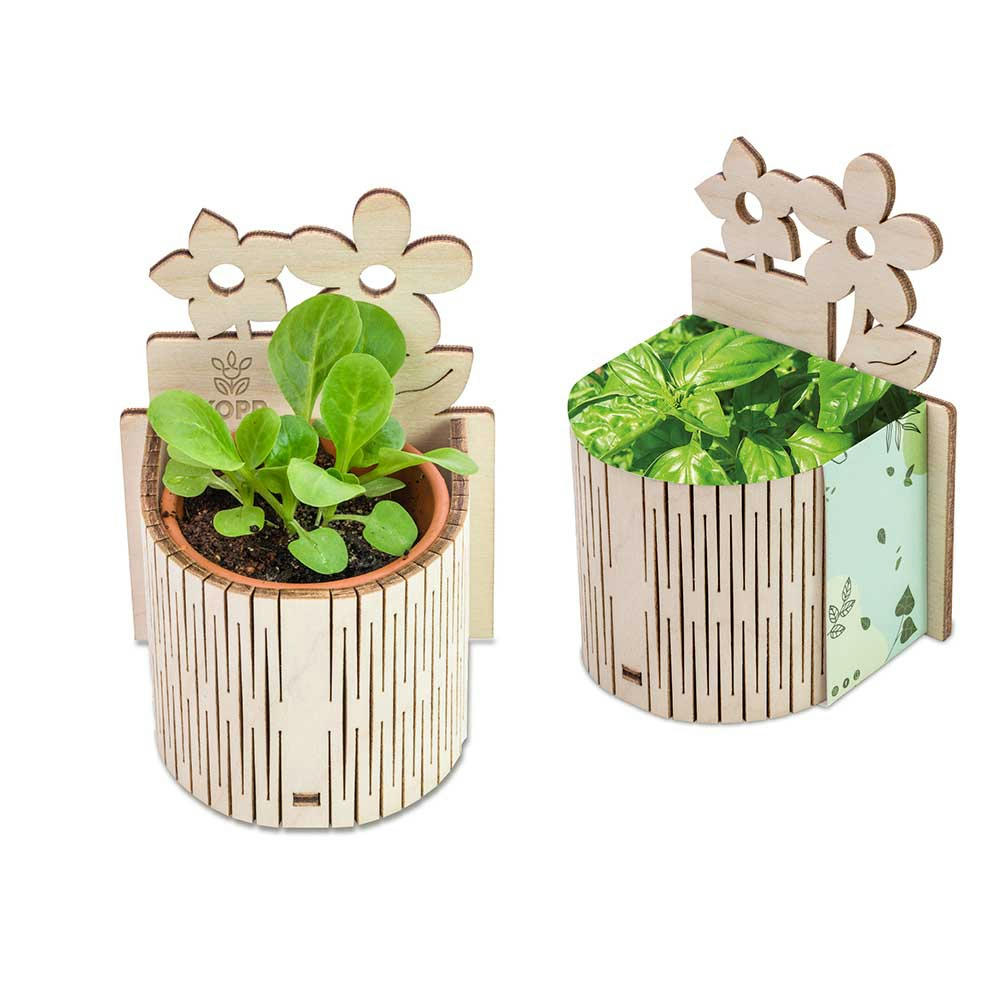 My Tiny Garden Blümchen - Basilikum, inkl. Lasergravur