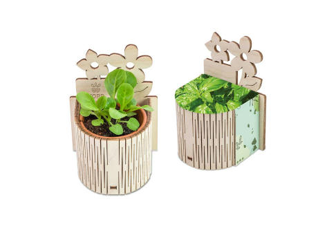 My Tiny Garden Blümchen - Basilikum, inkl. Lasergravur