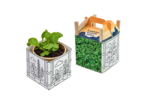 Color & Grow House - Gartenkresse