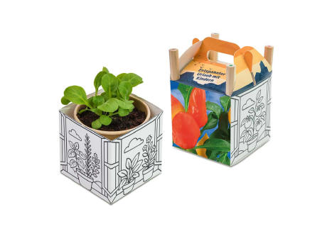 Color & Grow House - Gewürzpaprika