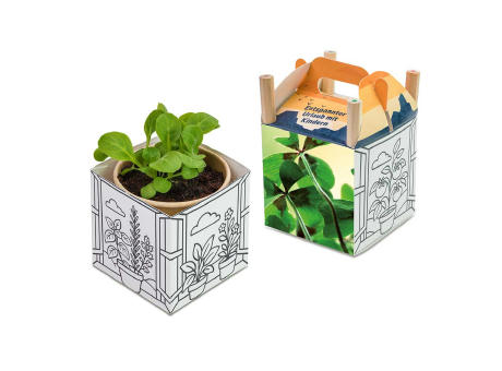 Color & Grow House - Glücksklee-Zwiebel(* Je nach Verfügbarkeit der Glücksklee-Zwiebeln)