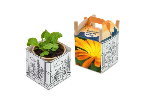 Color & Grow House - Ringelblume