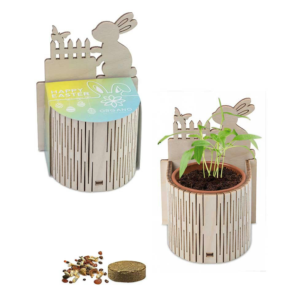 My Tiny Garden Ostern - Eierbaumsamen