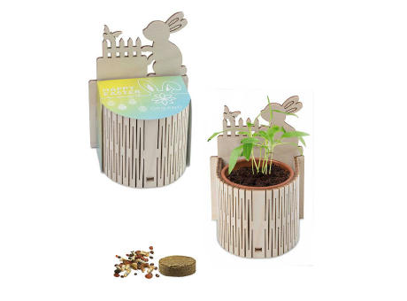 My Tiny Garden Ostern - Eierbaumsamen