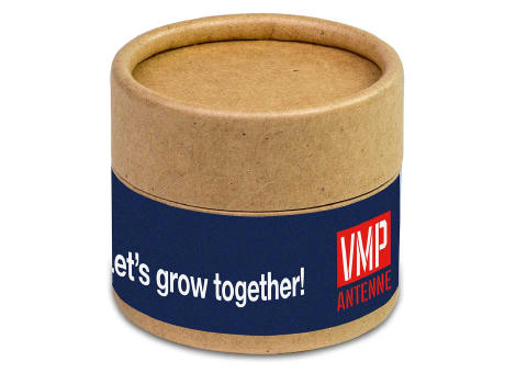 Pflanz-Cup mit Samen - Petersilie