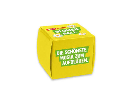 Flower-Balls in der Box mit Samen - 1er Box