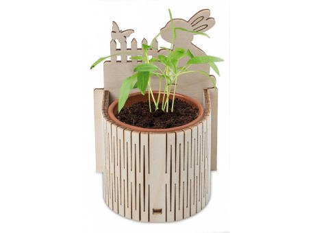 My Tiny Garden Ostern - Eierbaumsamen