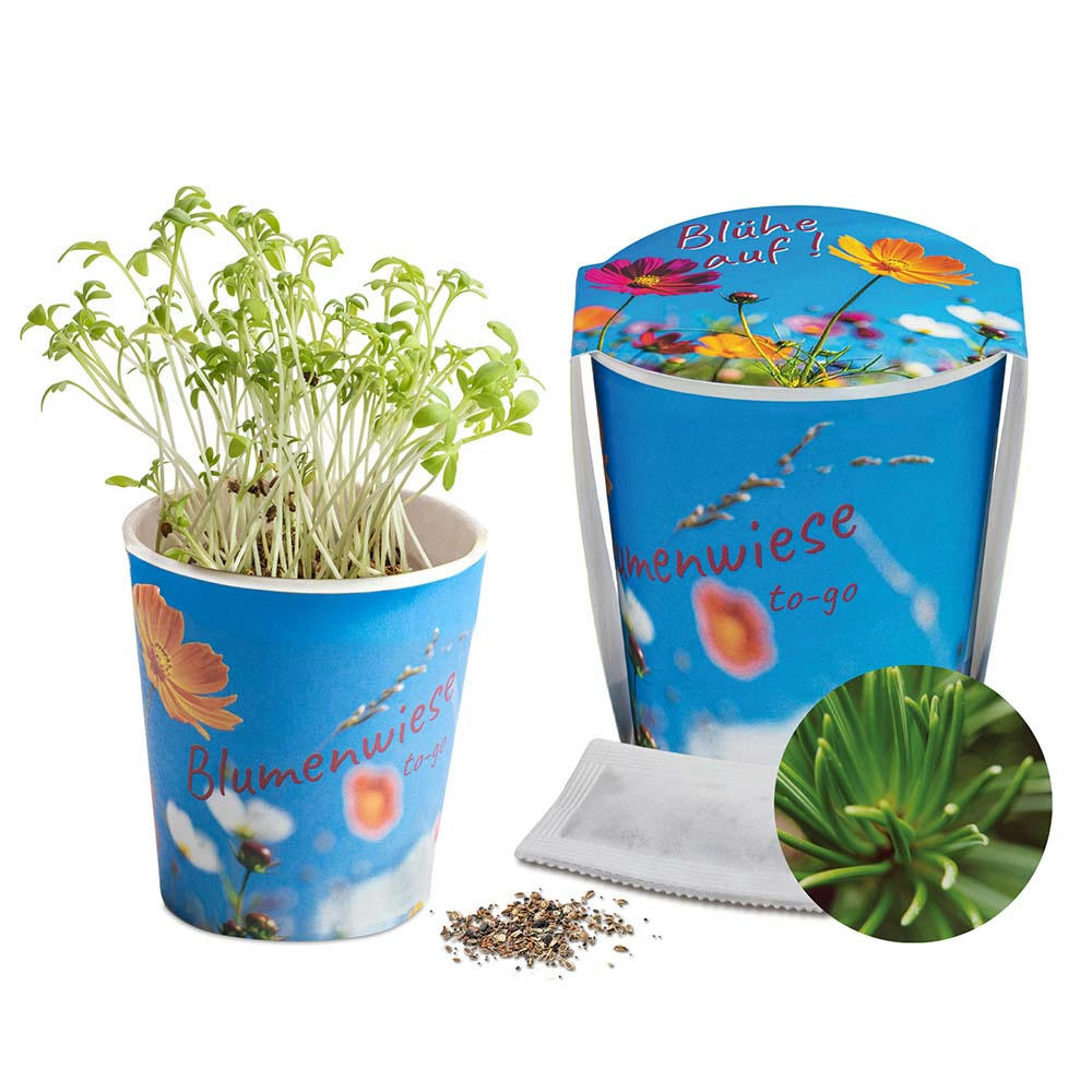 Blumenwiese To-Go - Ostern - Fichte - neutral