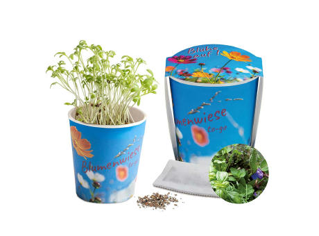 Blumenwiese To-Go - Ostern - Kräutermischung - neutral