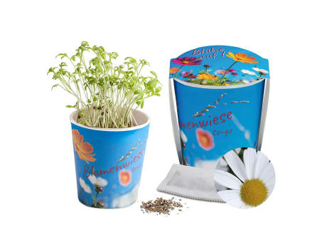 Blumenwiese To-Go - Ostern - Margerite - neutral