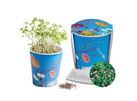 Blumenwiese To-Go - Ostern - Persischer Klee - neutral