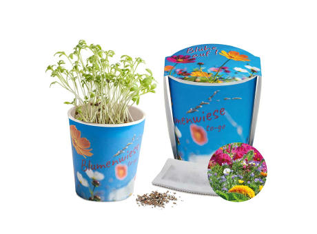 Blumenwiese To-Go - Ostern - Sommerblumenmischung - neutral