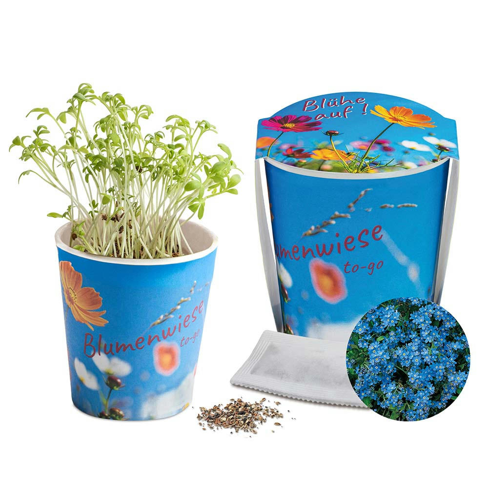 Blumenwiese To-Go - Ostern - Vergissmeinnicht - neutral