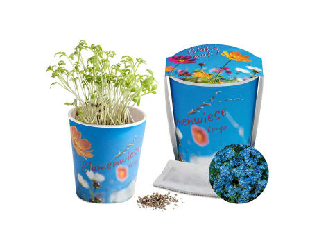 Blumenwiese To-Go - Ostern - Vergissmeinnicht - neutral