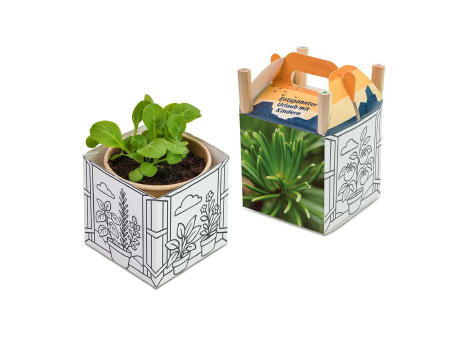 Color & Grow House - Ostern - Fichte