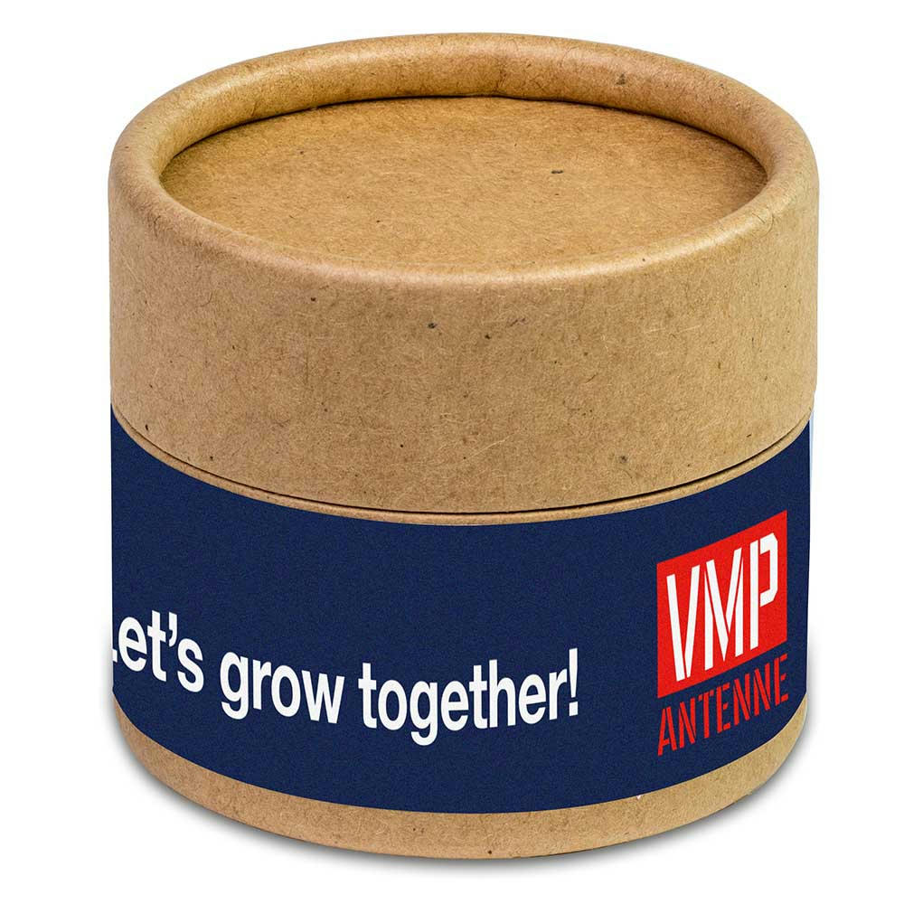 Pflanz-Cup mit Samen - Fichte