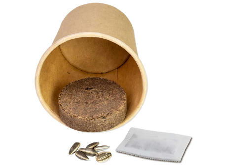 Color & Grow House - Ostern - Gartenkresse