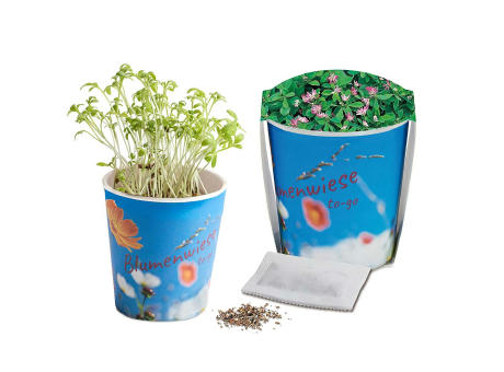 Blumenwiese To-Go - Ostern - Persischer Klee - Druck individuell 4/0-c