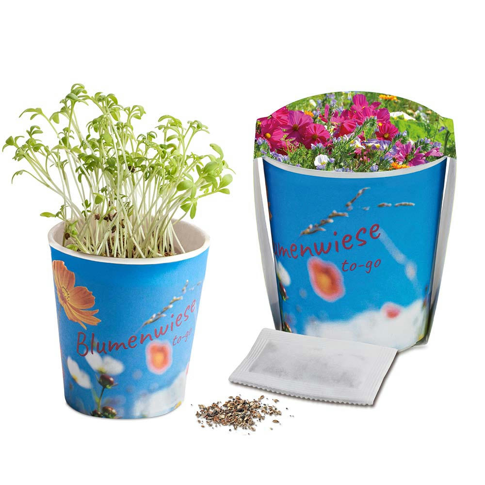 Blumenwiese To-Go - Ostern - Sommerblumenmischung - Druck individuell 4/0-c