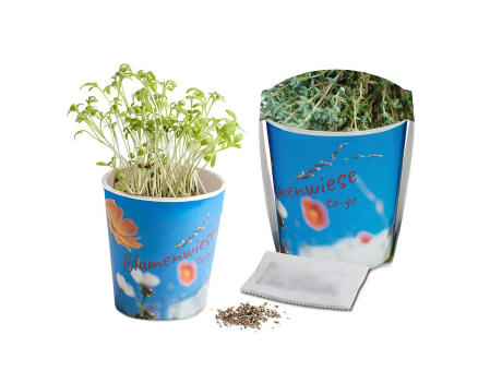 Blumenwiese To-Go - Ostern - Thymian - Druck individuell 4/0-c