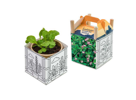 Color & Grow House - Ostern - Persischer Klee