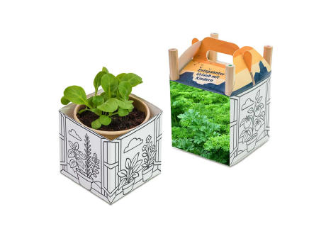 Color & Grow House - Ostern - Petersilie