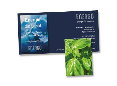 Samentütchen auf Werbekarte - Basilikum