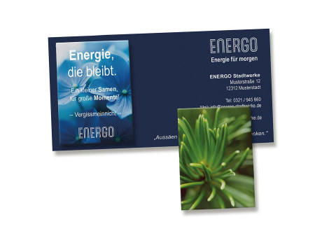 Samentütchen auf Werbekarte - Fichte