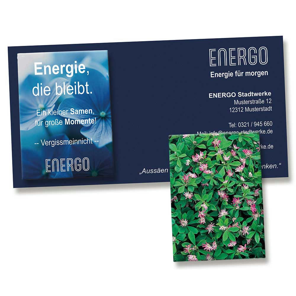 Samentütchen auf Werbekarte - Persischer Klee