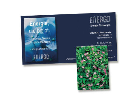 Samentütchen auf Werbekarte - Persischer Klee