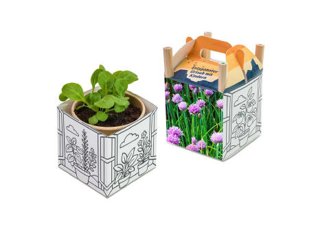 Color & Grow House - Ostern - Schnittlauch