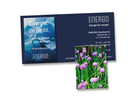 Samentütchen auf Werbekarte - Schnittlauch