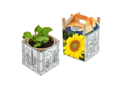 Color & Grow House - Ostern - Sommerblumenmischung