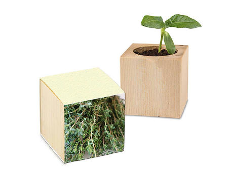 Pflanz-Holz mit Samen (Graspapier-Banderole) - Thymian