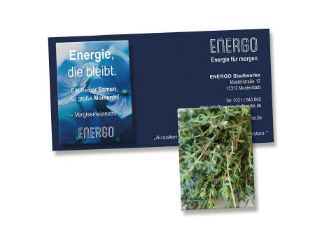 Samentütchen auf Werbekarte - Thymian