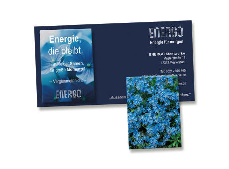 Samentütchen auf Werbekarte - Vergissmeinnicht