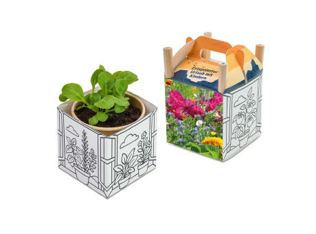 Color & Grow House - Ostern - Sonnenblume