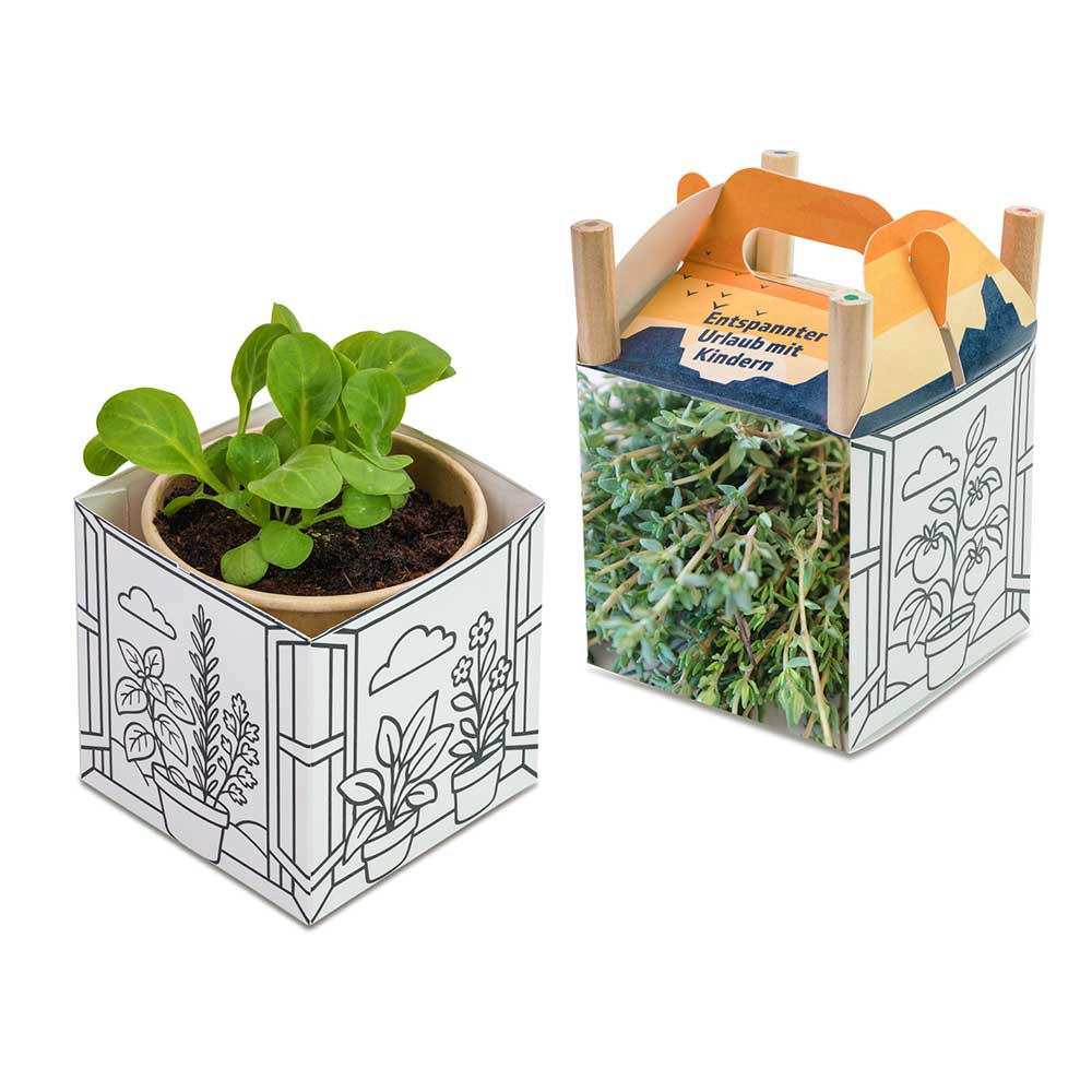 Color & Grow House - Ostern - Thymian