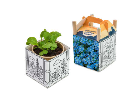 Color & Grow House - Ostern - Vergissmeinnicht